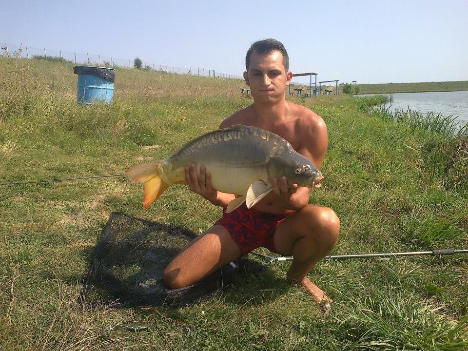 Sustra 2012 jud Timis - 418800_495548477140603_1106396425_n.jpg